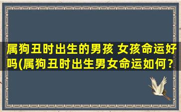 属狗丑时出生的男孩 女孩命运好吗(属狗丑时出生男女命运如何？这个星座会遇到什么坎坷和顺利？)